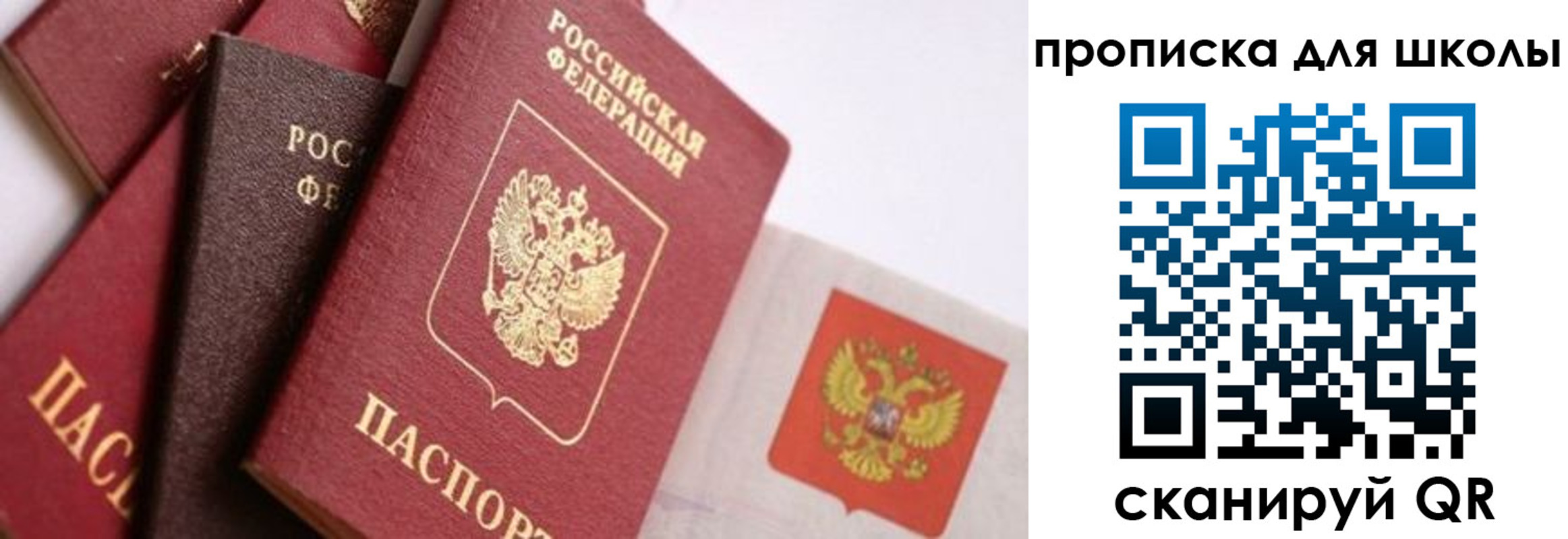 прописка поиск в Нововоронеже